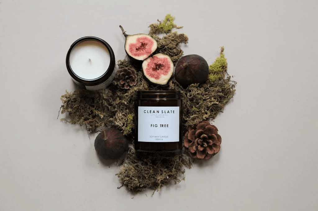 Fig Tree Soy Candle CANDLE CLEAN SLATE 